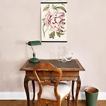 Zamek Zdar Appartement